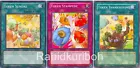 Token Collector