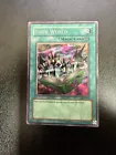 Toon World