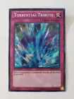 Ritual Beast Tamer Wen
