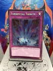 Torrential Tribute