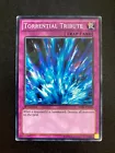 Torrential Tribute