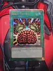 Brain Control