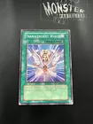 Transcendent Wings