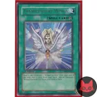 Transcendent Wings