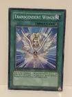Transcendent Wings