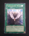 Transcendent Wings