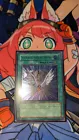 Transcendent Wings