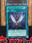 Transcendent Wings