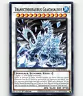 Transcendosaurus Glaciasaurus