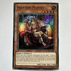 Traptrix Mantis