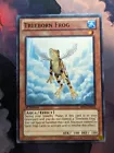 Treeborn Frog