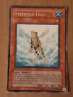 Treeborn Frog
