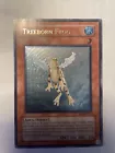 Treeborn Frog