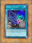 Tribute to The Doomed