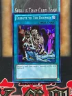 Tribute to The Doomed