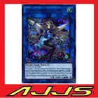 Trickstar Holly Angel