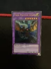 Twin Photon Lizard