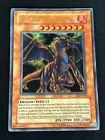 Tyrant Dragon