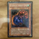Ultimate Insect LV1