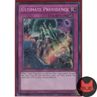 Ultimate Providence