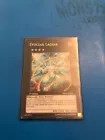 Evolzar Laggia