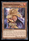 Valkyrian Knight