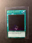 Veil of Darkness