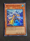 Warlock of the Ice Barrier