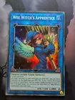 Wee Witch's Apprentice