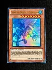 White Night Dragon