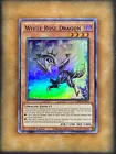 White Rose Dragon