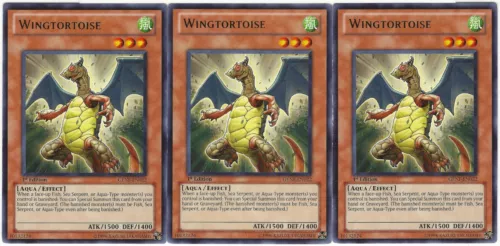 Wingtortoise