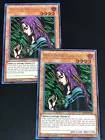 Witch of the Black Forest