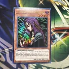Black Whirlwind
