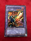 Flame Swordsman