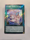 Purrely Pretty Memory