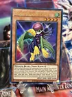 Harpie Lady