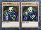 Skull Mariner