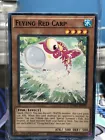 Golden Flying Fish