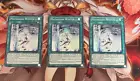 Mayakashi Winter
