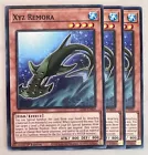 Xyz Remora