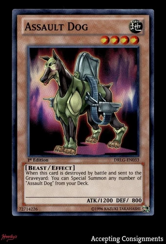 Assault Dog