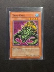 Yado Karu