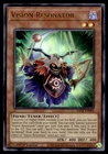 Vision Fusion