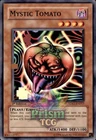 Mystic Tomato