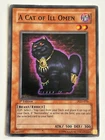 A Cat of Ill Omen