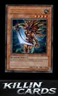 Amazoness Swords Woman