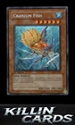 Cranium Fish