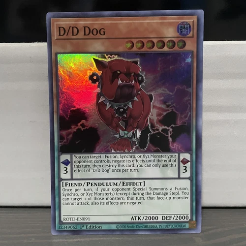D/D Dog