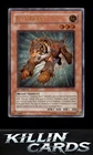 Test Tiger